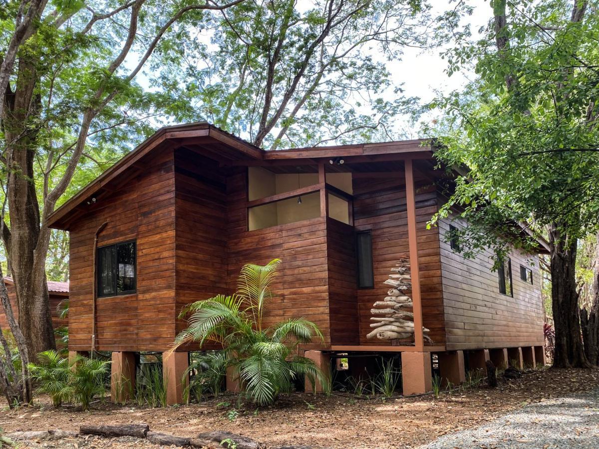 Casa Natural บราซีญิโต ภายนอก รูปภาพ