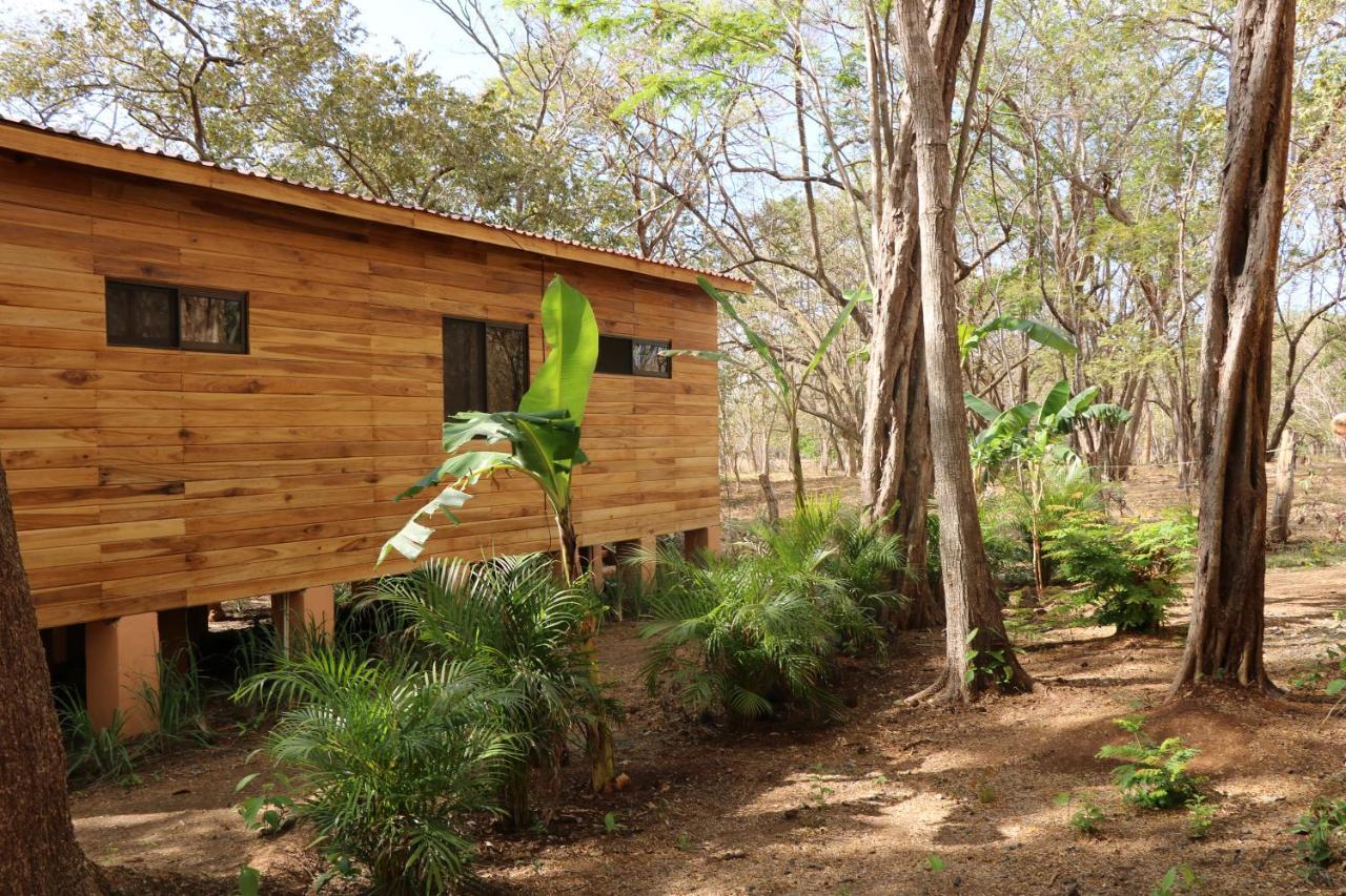 Casa Natural บราซีญิโต ภายนอก รูปภาพ